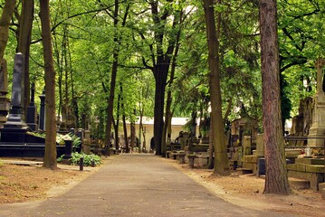 cemetery