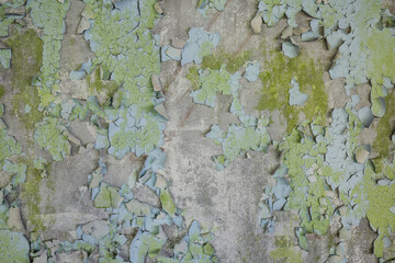 peeling paint on mossy concrete wall texture