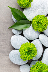 Spa stones and flowers on grey background.