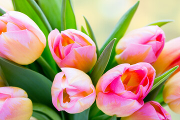 Obraz na płótnie Canvas Spring flowers. Tulip bouquet on the bokeh background.