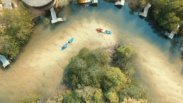 aerial view of tourist kayaking in mangrove forest canal