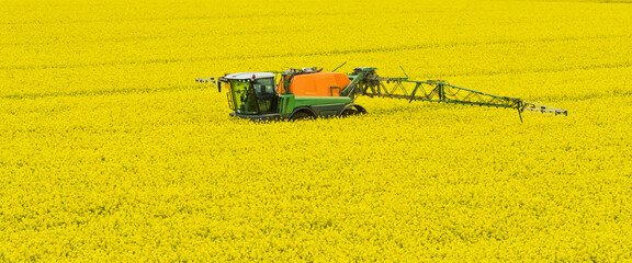 Tractor spraying rape field