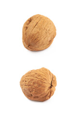 Single walnut isolated