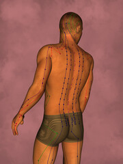Acupuncture model, 3D illustration