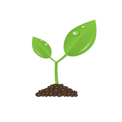 Green plant illustration