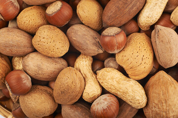 Surface coated with different nuts