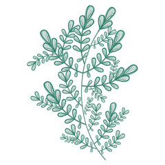 leafs plant ecology icon vector illustration design