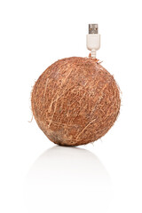 Conceptual photo - big round coconut with usb plug isolated on white background