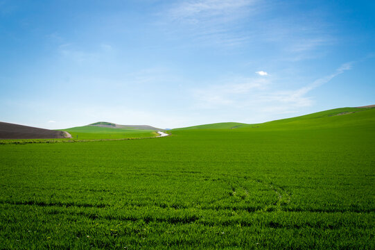 Andalusian landscape with green hills and fields in Spain on a day in spring