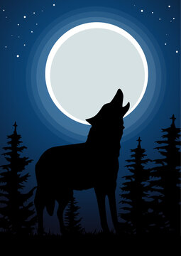 Wolf howling at the moon in forest. Dark background