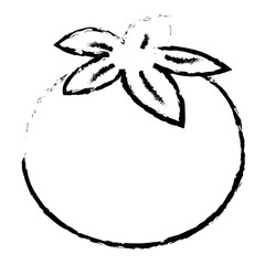 tomato fresh vegetable icon vector illustration design