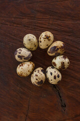 Fototapeta premium Huevos de codorniz 