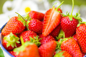 Strawberries fresh from the garden, lying in a colander. Fresh, strong colors.