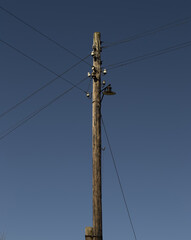 The pillar-support of electric grids and the iron lantern on it