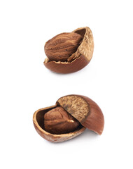 Cracked hazelnut isolated