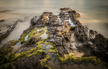 Resting rock