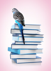 Naklejka premium Pile of books on white background
