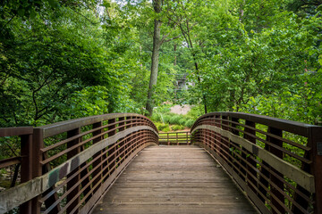 Walking Bridge in Forest Park 