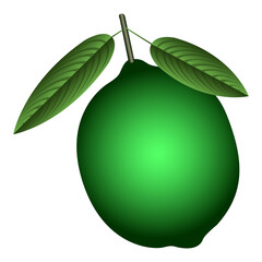 Isolated colored lemon