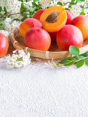 Ripe juicy apricots and a dolly apricot with a stone on a light background and flowers breakfast concept