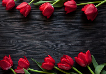 Naklejka na ściany i meble red tulips on wooden gray background
