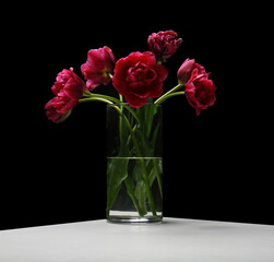 Beautiful bouquet of tulips on black background