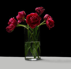 Beautiful bouquet of tulips on black background