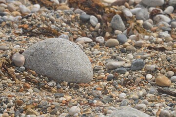 Pebbles In Cornwall