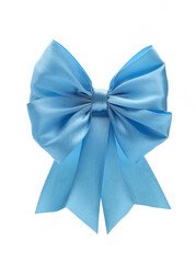 Blue bow on a white background