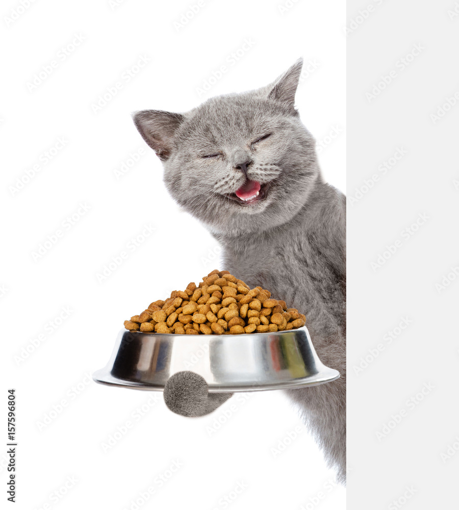 Poster Happy Cat holding bowl of dry cat food and peeking from behind empty board. isolated on white background