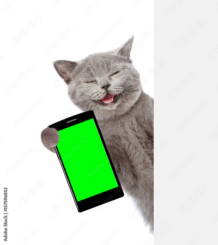 Poster happy cat with smartphone peeking from behind empty board. isolated on white background