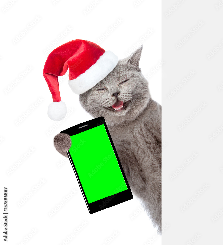 Aufkleber happy cat in christmas hat with smartphone peeking from behind empty board. isolated on white backgr