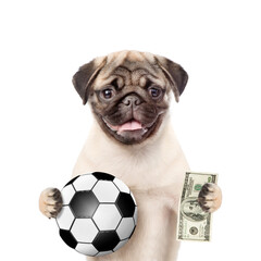 Funny dog holding dollars and ball in his paws. isolated on white background