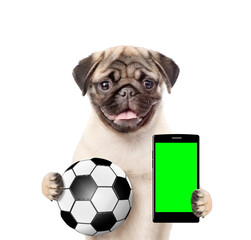 Puppy holding a smartphone and soccer ball. Isolated on white background
