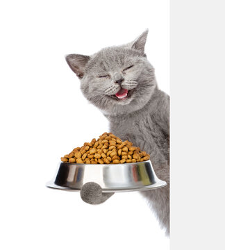 Naklejki Happy Cat holding bowl of dry cat food and peeking from behind empty board. isolated on white background