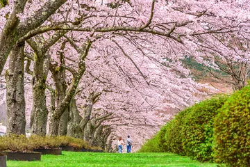  Shizuoka, Japan in Spring © SeanPavonePhoto