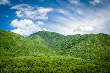 moky Mountains Landscape