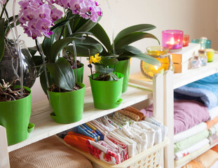 The girl puts the bed linen in the closet. Phalaenopsis orchids stand on the shelf.