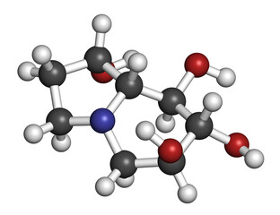 Obraz premium Castanospermine alkaloid molecule. Isolated from Castanospermum australe. 3D rendering. Atoms are represented as spheres with conventional color coding.