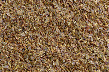 Aroma dill seed background