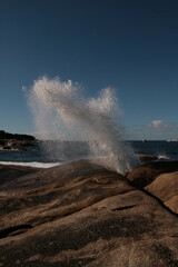 blowhole, sea