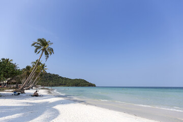 Beach Summer holidays - clear blue sky vs coconut trees