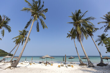 Beach Summer holidays - clear blue sky vs coconut trees