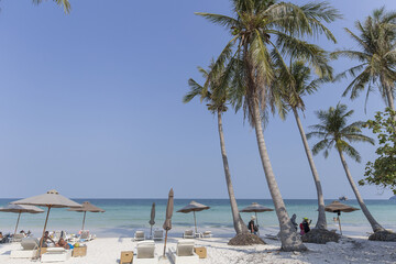 Beach Summer holidays - clear blue sky vs coconut trees
