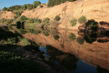 Fototapeta na wymiar river bank