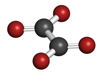 Oxalate anion, chemical structure. Oxalate salts can form kidney stones. 3D rendering. Atoms are represented as spheres with conventional color coding: carbon (grey), oxygen (red).