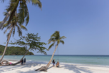 Beach Summer holidays - clear blue sky vs coconut trees