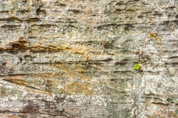 Texture of the rock for background. The erosion of wind and water on surface.