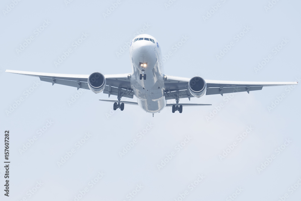 Wall mural Aircraft in flight