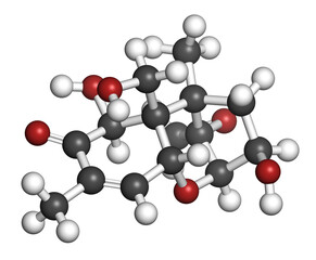 Vomitoxin (deoxynivalenol, DON) mycotoxin molecule. 3D rendering. Atoms are represented as spheres with conventional color coding: hydrogen (white), carbon (grey), oxygen (red).